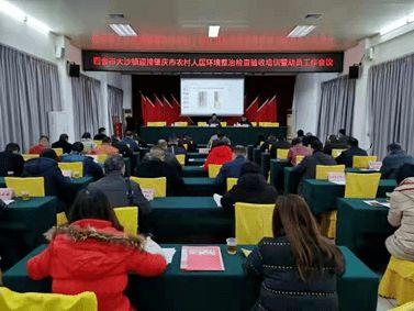 四会大沙镇爆料新闻最新,最新爆料揭示惊人真相